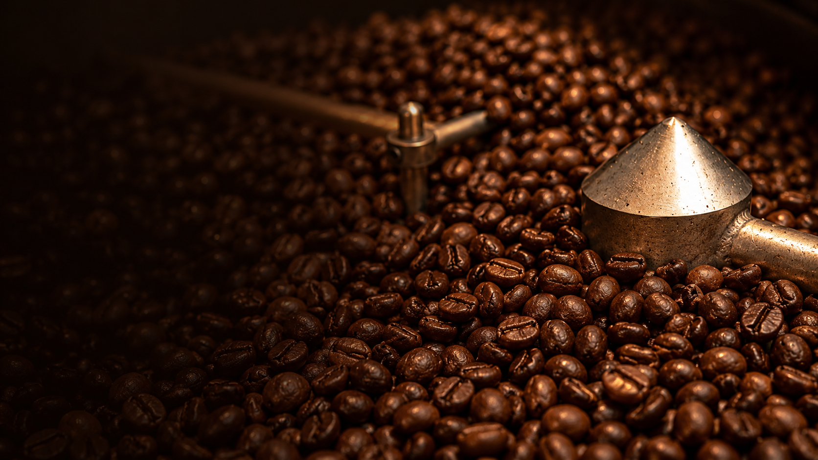 Freshly roasted Essence of Coffee beans