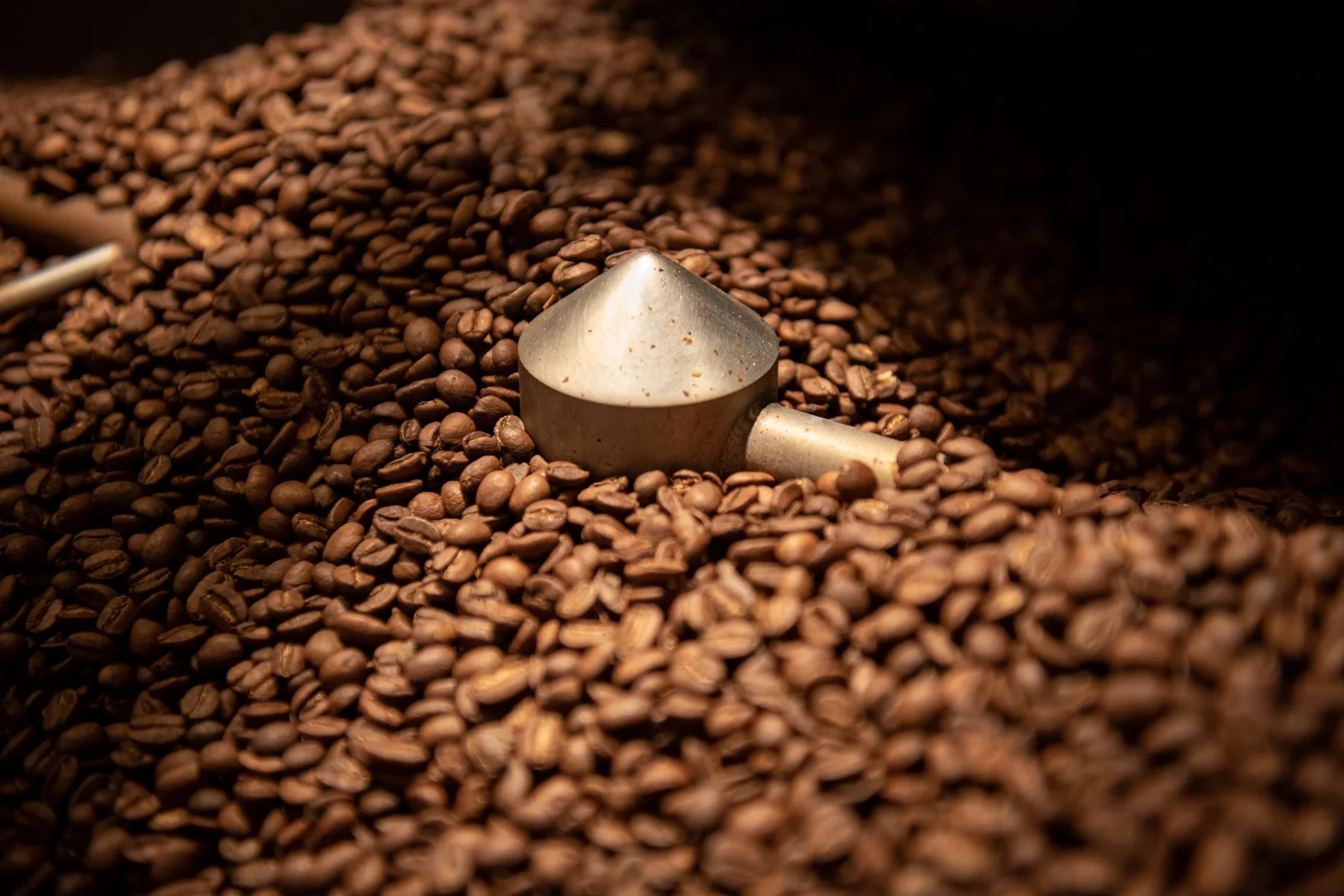 Roasted coffee beans and a metal coffee scoop